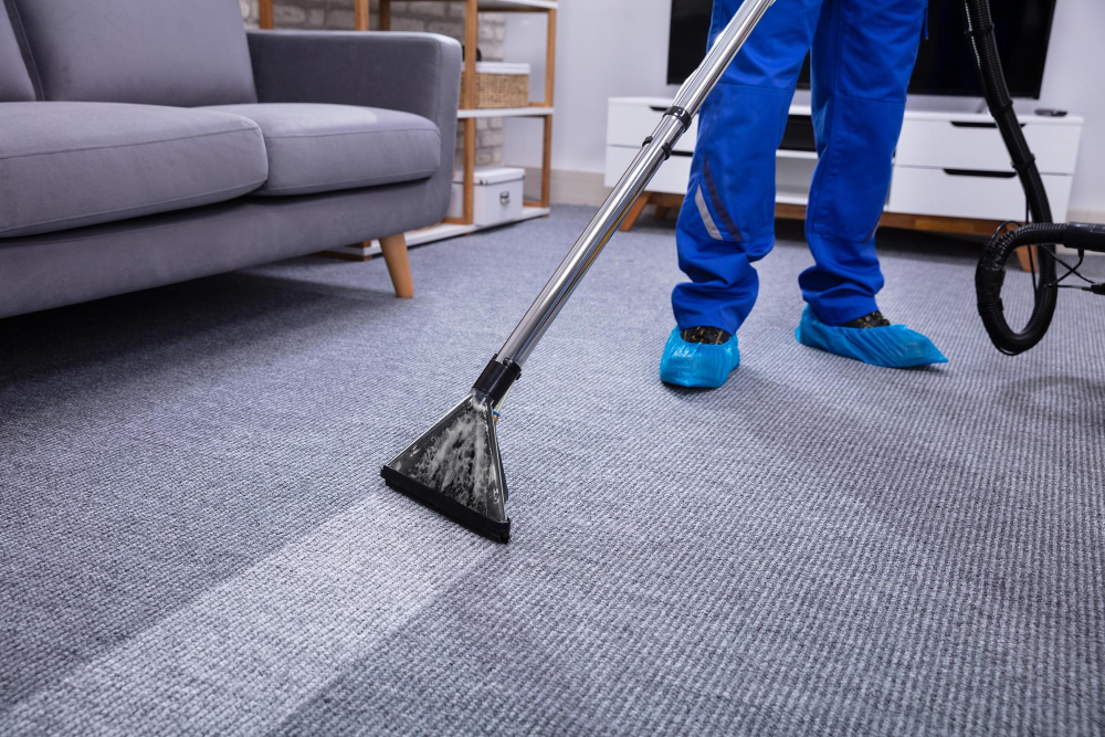 Carpet Cleaning Services-img